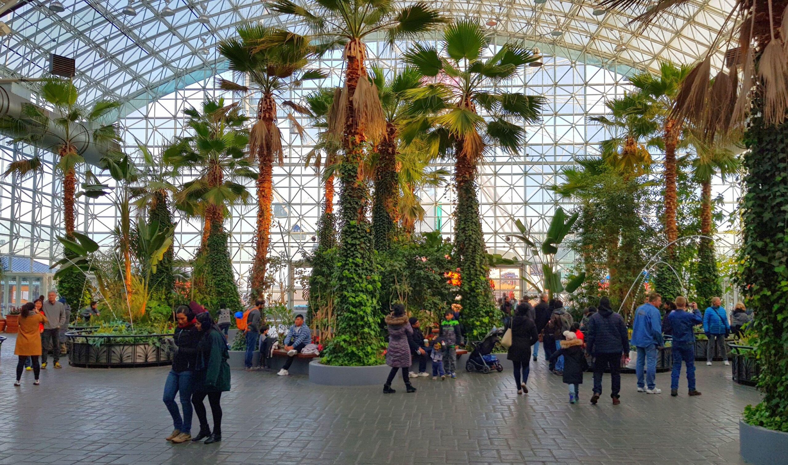 Crystal Gardens Navy Pier